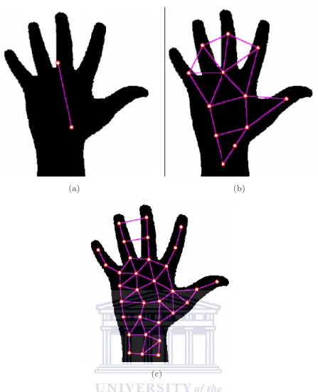 Figure 2.5: An illustration of the Self-Growing Self-Organizing Neural Network Gas technique [23].