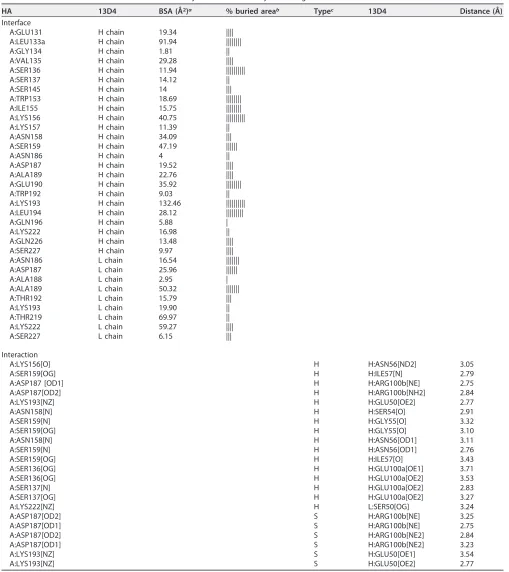 TABLE 2 Interface identiﬁcation and interaction analysis of 13D4:HAhr by PISA Program