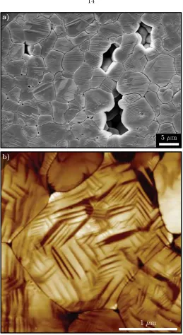 Figure 1.9: Images of polycrystalline PZT showing (a) granular structure via SEM and (b) do-main structure within individual grains via AFM