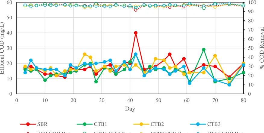 Figure 11. COD removal performance 