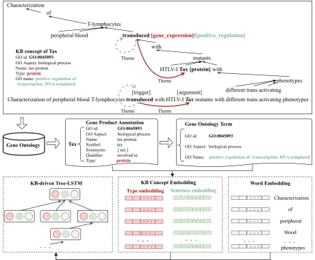Figure 1: The framework of the KB-driven Tree-LSTM model. The upper frame shows the dependency treestructure and event annotations of a sentence; the middle frame demonstrates the knowledge base informationobtained from the Gene Ontology for Tax; the bottom frame describes the KB-driven Tree-LSTM which takes theKB concept embedding and word embedding as input.