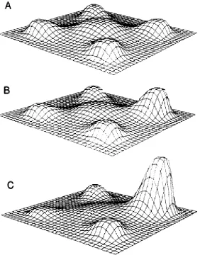 Figure 4. Hypothetical representation of the change in distribution of information processing 