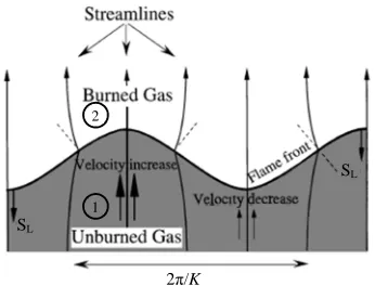 Fig. 9: Deviation of flow lines leading to Darius-Landau instability; image published in [19] 