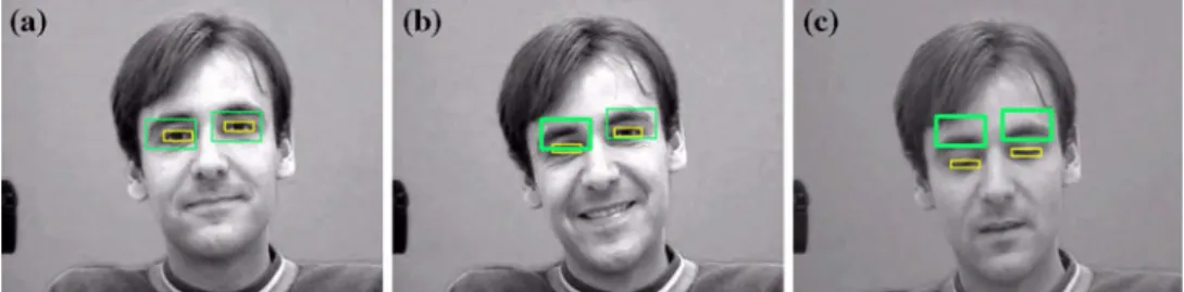 Fig. 4 An example sequence where a tracker loses its target, performed on an annotated sequence of a talking face, available at Dr