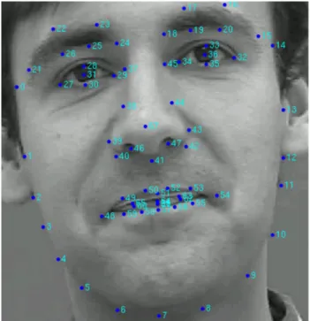 Fig. 7 A clipped frame taken from the Talking Face sequence showing the 68 point annotation