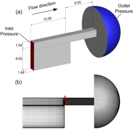 Figure 1. (a) Geometry of the step nozzle and the relevant dimensions in mm, inlet boundary (red color) and outlet boundary (blue color) surfaces are shown all the other surfaces are no–