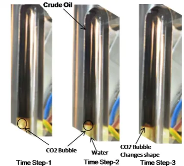 Fig. 3 shows the CO2shape, does not rise upward and finally disappears in the It can be observed at the time-step-3 the CO bubble behavior at or close to MMP
