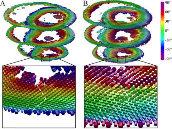 Fig. 3. Diffusion tensors in apical, middle and basal short-axis slices in A: slack and B: contractured hearts