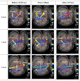 Figure 2.5. Effective connectivity linked to executive functions during n-back tasks (Adapted 
