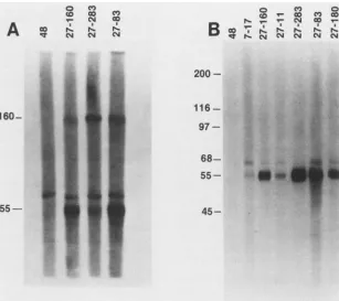 FIG. 5.placedwithFollowing Proteolytic peptide mapping ofgp55 and gpll6 of extracellular virus