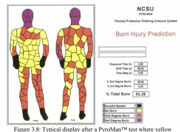 Figure 3.8: Typical display after a PyroMan™ test where yellow indicates No Burn, red indicates Second-Degree Burn and purple 