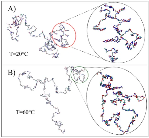 Fig. 10. Simulation snapshots of the pUC19-ssDNA sequenceeach nucleotide is represented by a colour scheme: A (white),for two diﬀerent temperatures, at 20 ◦C and 60 ◦C