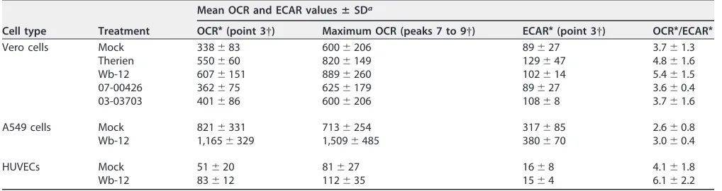 TABLE 1 OCR and corresponding ECAR values obtained through extracellular ﬂux analysis with the Mito stress test kit for RV strains andcorresponding mock controls after infection of Vero cells (MOI of 5 at 72 hpi), A549 cells (MOI of 5 at 72 hpi), and HUVECs (MOI of 10 at36 hpi)