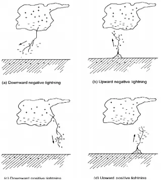 Figure 2.1 : Type of lightning[2] 