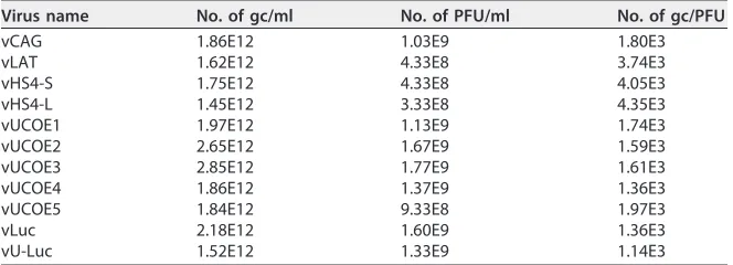 TABLE 1 Virus titers