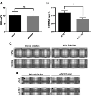 FIG 5 (A and B) Total H3 (A) and transcriptionally repressive H3K9Me3 (B) associated with the CAGbisulﬁte conversion