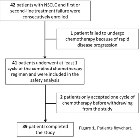 Figure 1. Patients flowchart.