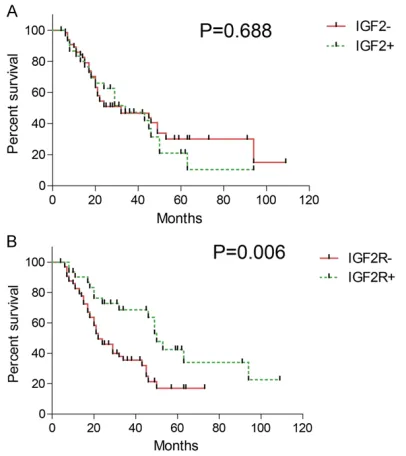 Figure 2. Recurrence-free curve of IGF2 and IGF2R. Recurrence-free curve of IGF2 and IGF2R was plot-ted by Kaplan-Meier method and analyzed by log-rank test