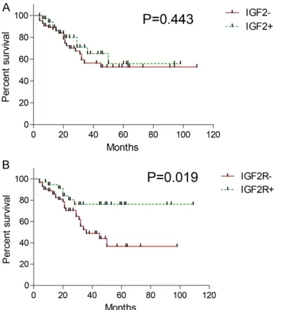 Figure 3. Overall survival curve of IGF2 and IGF2R. 5-year overall survival curve for IGF2 and IGF2R plotted by Kaplan-Meier method