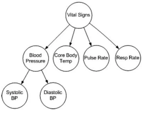Fig. 6: Codes used in Clinical Observation (Figure 1 page 5 of [47])) 