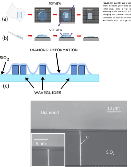 Fig. 2. (a) and (b) are schematics of the diamond mem-brane bonding procedure onto a processed silicon pho-tonic chip, from a top and side view respectively.Bonding of the materials is facilitated by capillary actionbringing the surfaces into contact
