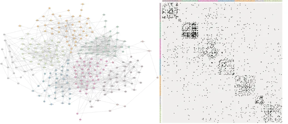 Fig. 1. Evaluated visualizations: node-link diagram and adjacency matrix.