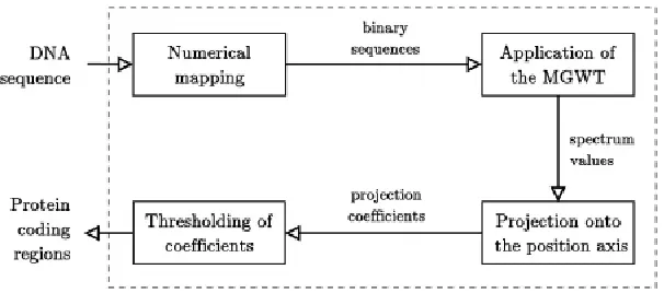 Fig 6:   Schematic data flow diagram using the MGWT 
