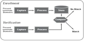 Figure 1.  Biometric processing. In the enrolment stage, a collection of data of user biometric attributes is included