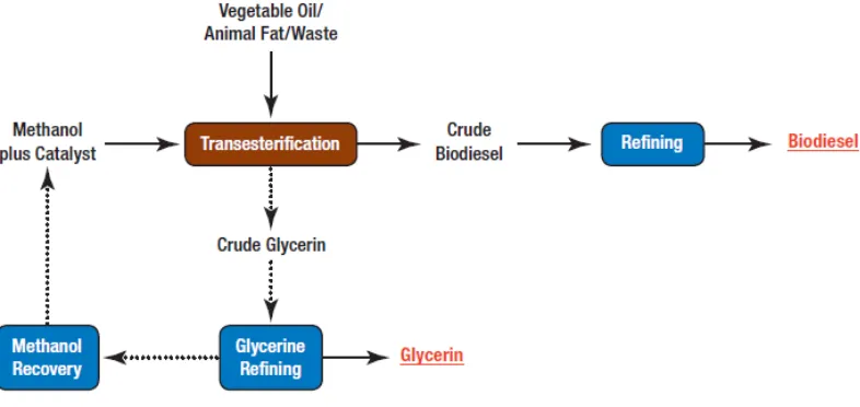 Figure 1.1 Basic Transesterification Process [6] 