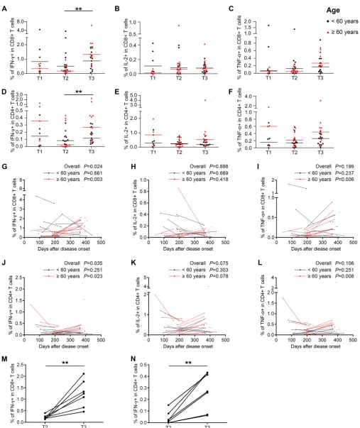 FIG 4 Virus-speciﬁc T cell responses in H7N9 survivors at 1 year after infection. (A to F) Frequency of cytokine-secreting CD8and T3 phases following H7N9 virus stimulation in all eligible patients