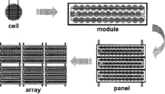 Figure 2.4: PV cells, modules, panels, and array [11]. 