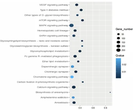 Table 3. Relative expression of miRNA (_x±s)