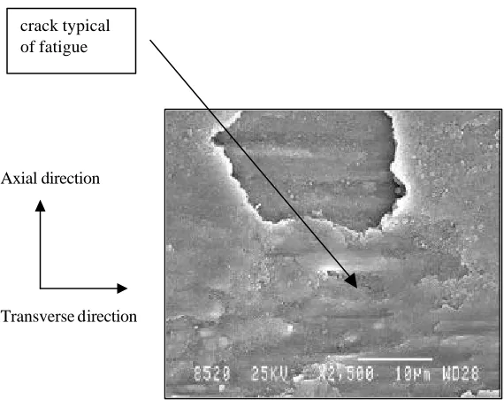 Figure 6: Removal of a Flake of Material (x2500) - Damage Typical of Fatigue 