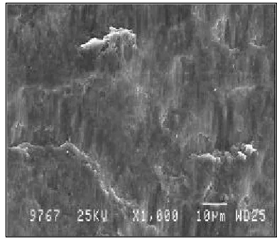 Figure 8: Marks in the Axial Direction (x1000) - Surface Damage Typical of Plastic Deformation 