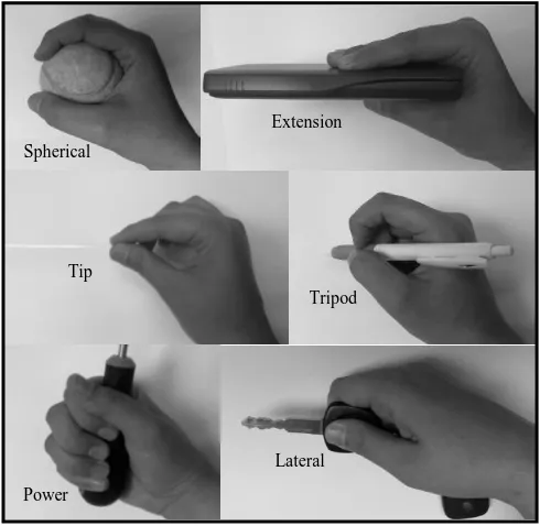 Fig. 3. The Basic Types of Hand Grasping  