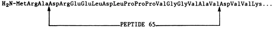 FIG.1. Sequence of the 16 amino acids present in peptide 65 that is encoded near the N terminus of the Ad2 i-leader protein.