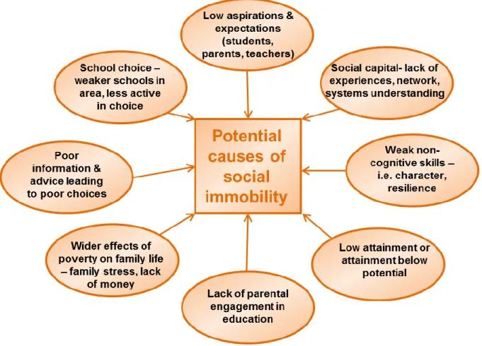 Figure 8 Potential causes of social immobility  