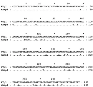 FIG 1 HIV-1 protease nucleotide sequences of the wild-type (WT) virus, which corresponds to the HIV-1combining three overlapping synthetic DNA oligonucleotides as previously described (10)