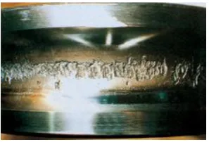 Figure 2.1 Bearing Flaking [10] 