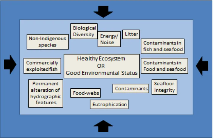 Figure 2. The eleven descriptors used to assess ecological status in the context of the Marine Strategy Framework Directive