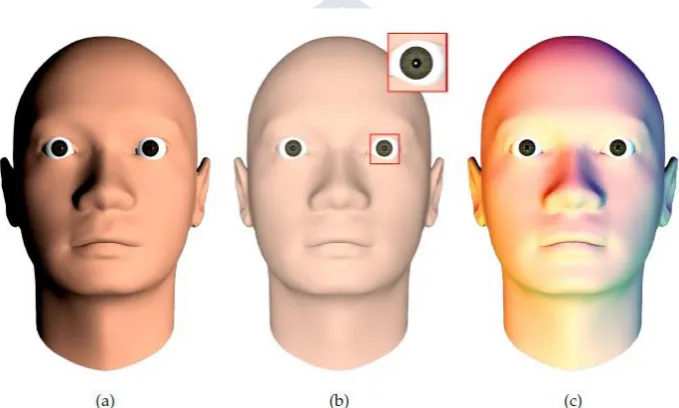 Fig. 1: The direction to a single light source can be determined from (a) the lighting gradient across the face, or (b) the position of the specularity (white dot)  on the eye