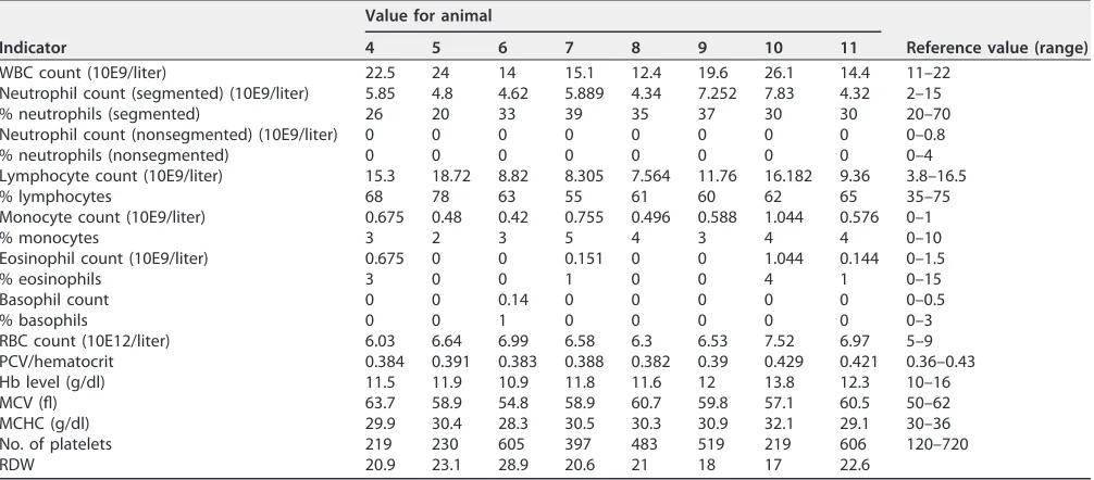 TABLE 1 Whole-blood-count results for ΔSRCR5 (animals 4 to 7) and wild-type (animals 8 to 11) piglets at week 6a