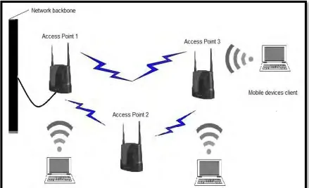 Figure 1.2: Wireless Mesh Network Topology 