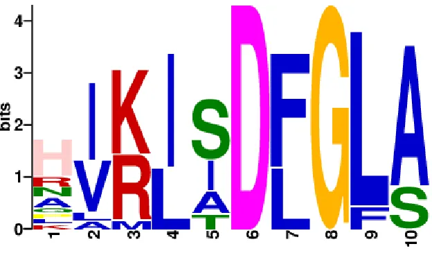 FIGURE 1.3.1: An amino-acids motif pattern.