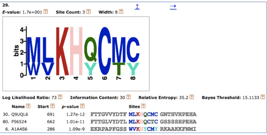 FIGURE 3.3.1: SLiM No.29 found in the CM dataset.