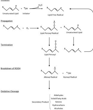 Figure 1. Lipid peroxidation adapted from Shahidi and Zhong, 2010 