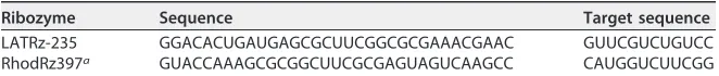 TABLE 1 Sequence of LATRz-235 and its target in the LAT 5= exon