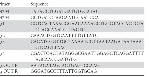 TABLE 1 Primers used in mutation of PS80