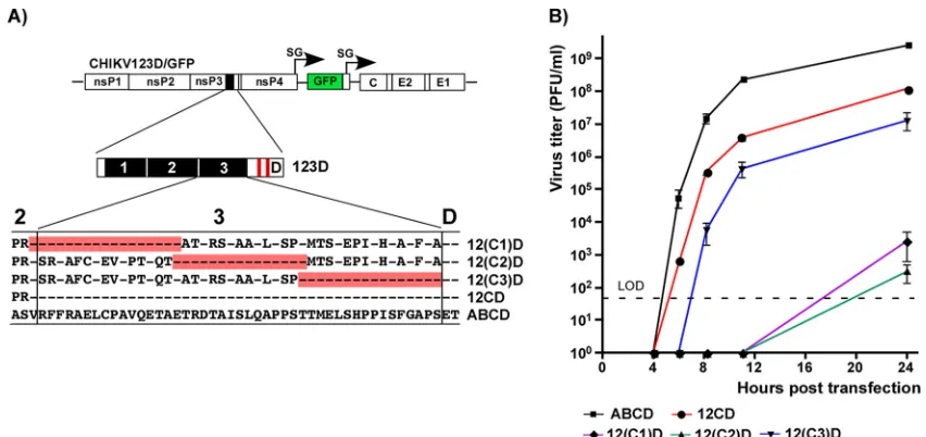 FIG 5 The carboxy terminus of fragment C determines CHIKV replication in vertebrate cells