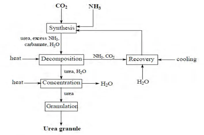 Figure 2.1: Schematic representation of Urea synthesis (Copplestone and Kirk, 1991). 
